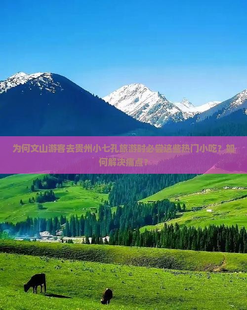 为何文山游客去贵州小七孔旅游时必尝这些热门小吃？如何解决痛点？