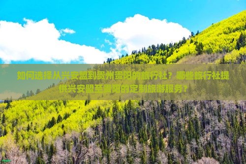 如何选择从兴安盟到贵州贵阳的旅行社？哪些旅行社提供兴安盟至贵阳的定制旅游服务？