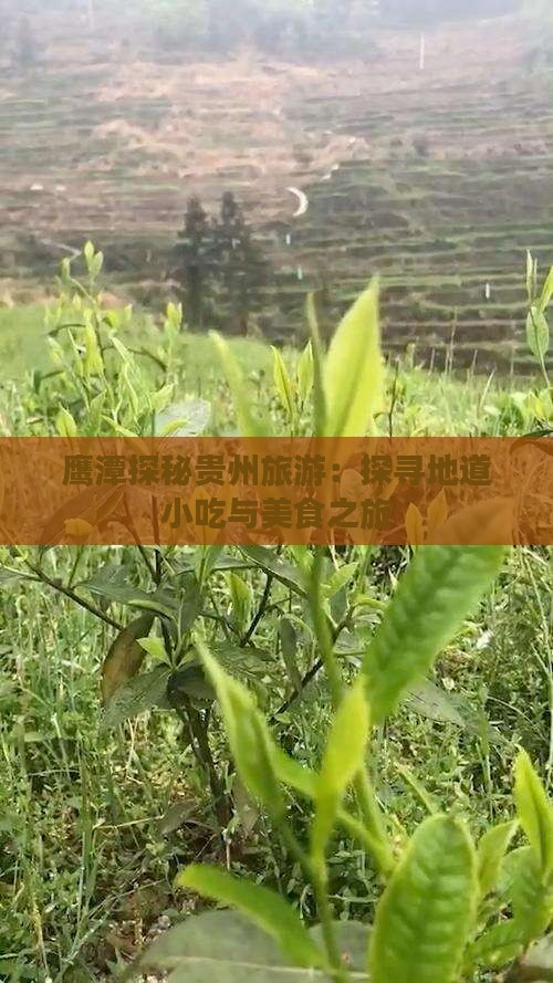 鹰潭探秘贵州旅游：探寻地道小吃与美食之旅