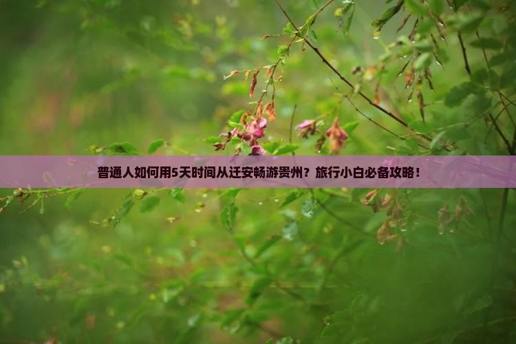 普通人如何用5天时间从迁安畅游贵州？旅行小白必备攻略！