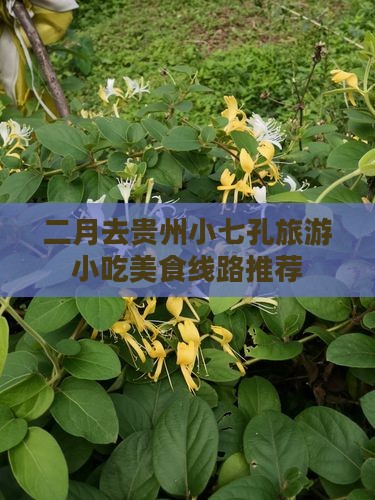 二月去贵州小七孔旅游小吃美食线路推荐