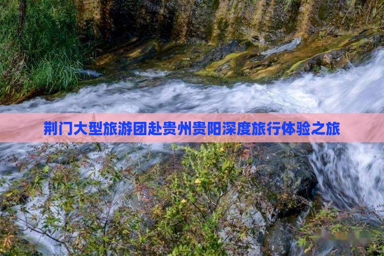 荆门大型旅游团赴贵州贵阳深度旅行体验之旅