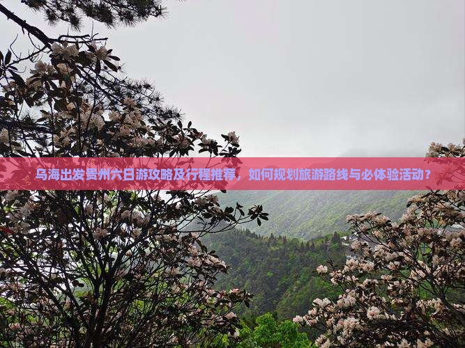 乌海出发贵州六日游攻略及行程推荐，如何规划旅游路线与必体验活动？
