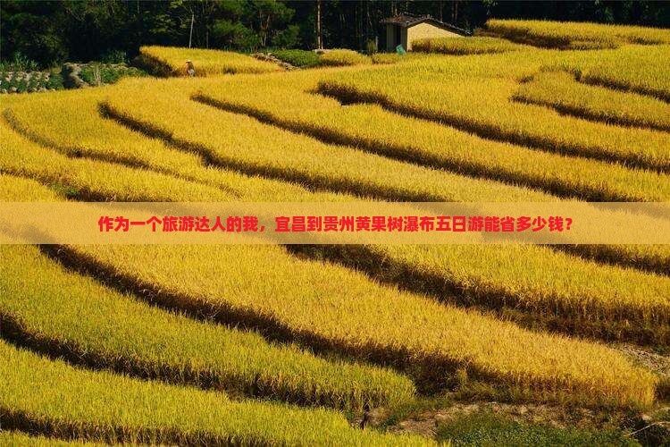 作为一个旅游达人的我，宜昌到贵州黄果树瀑布五日游能省多少钱？