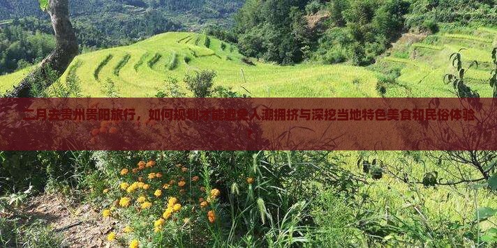 二月去贵州贵阳旅行，如何规划才能避免人潮拥挤与深挖当地特色美食和民俗体验？