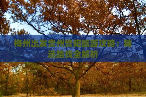 梅州出发贵州贵阳旅游攻略：精选路线全解析