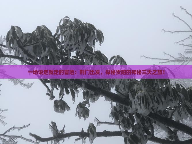 一场说走就走的冒险：荆门出发，探秘贵阳的神秘三天之旅！