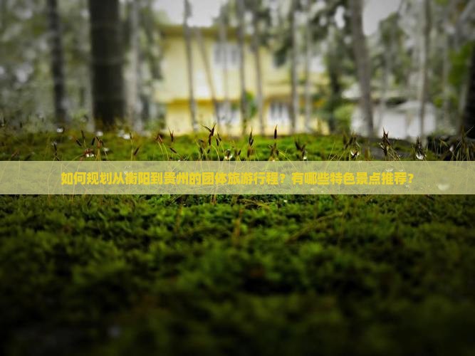 如何规划从衡阳到贵州的团体旅游行程？有哪些特色景点推荐？