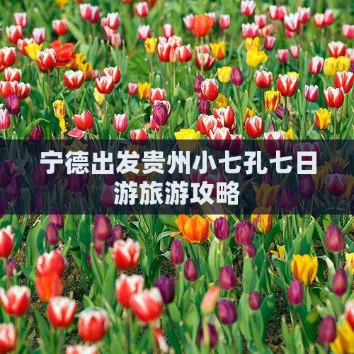 宁德出发贵州小七孔七日游旅游攻略