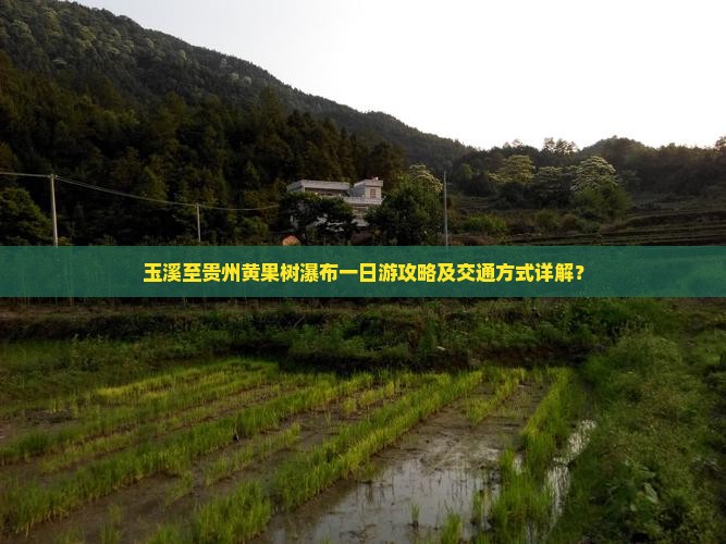 玉溪至贵州黄果树瀑布一日游攻略及交通方式详解？