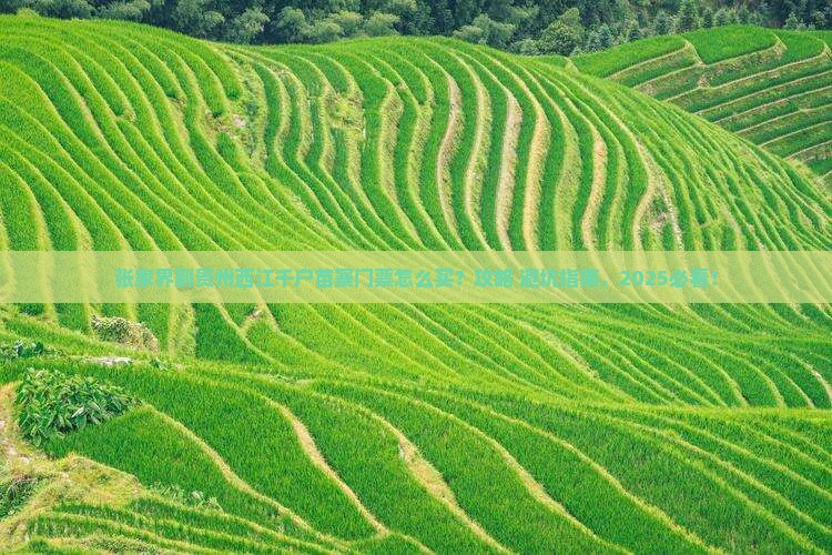 张家界去贵州西江千户苗寨门票