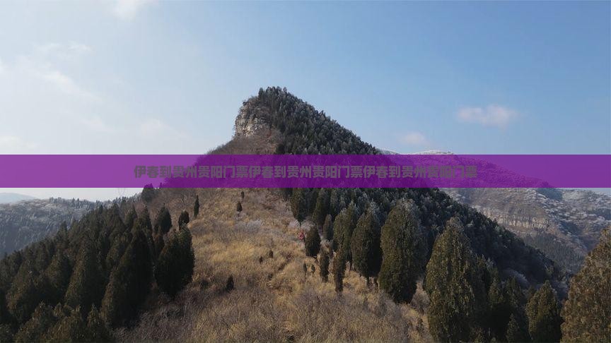 伊春到贵州贵阳门票