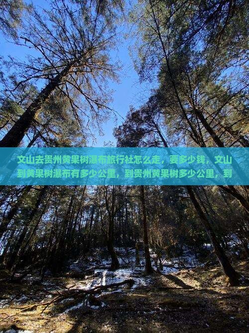 文山去贵州黄果树瀑布旅行社