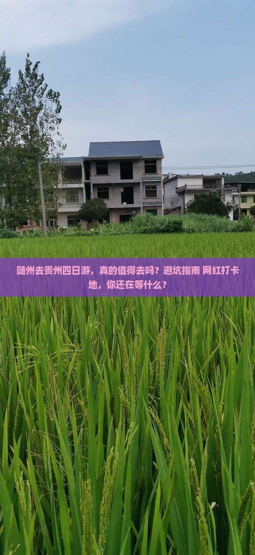 随州去贵州四日游