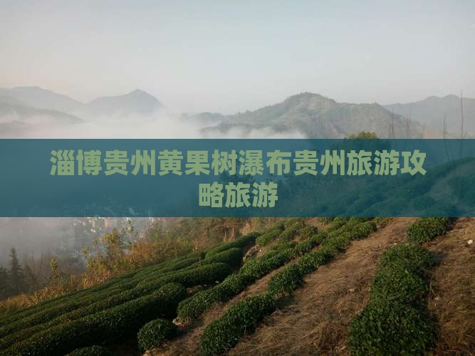 淄博去贵州黄果树瀑布团体旅游