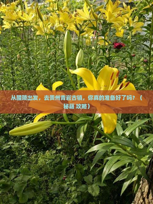 醴陵到贵州青岩古镇必去地