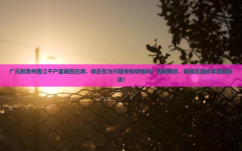 广元到贵州西江千户苗寨四日游 广元到贵州西江千户苗寨四日游