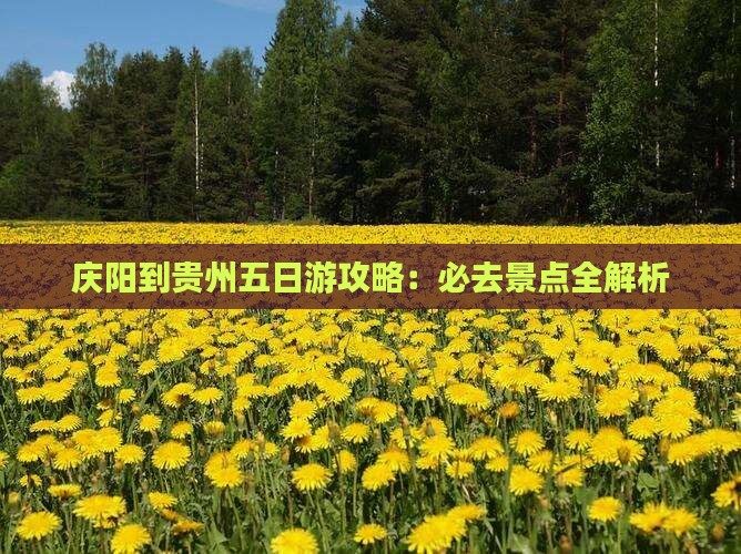 庆阳到贵州五日游
