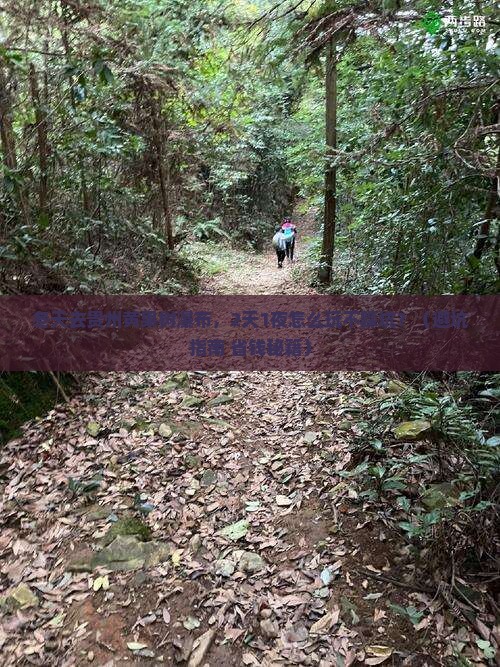 冬天到贵州黄果树瀑布旅行社