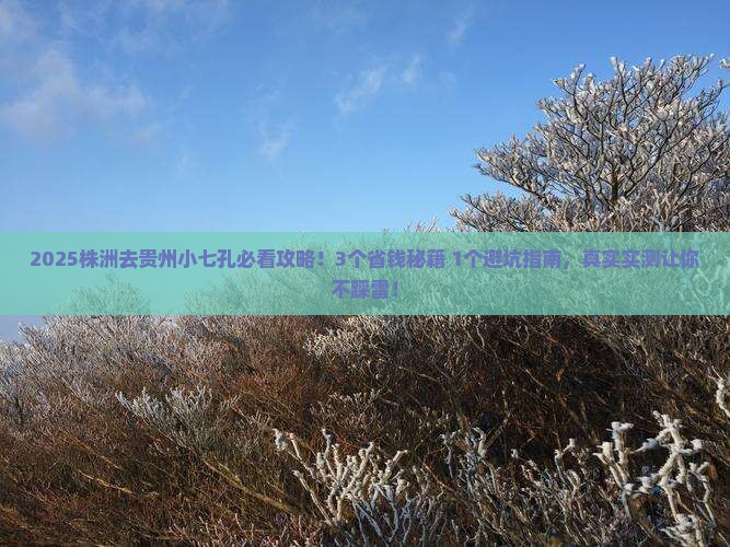株洲去贵州小七孔旅行社