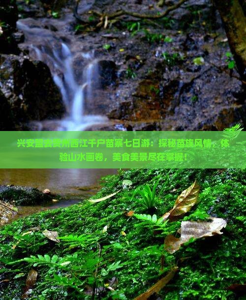 兴安盟去贵州西江千户苗寨七日游
