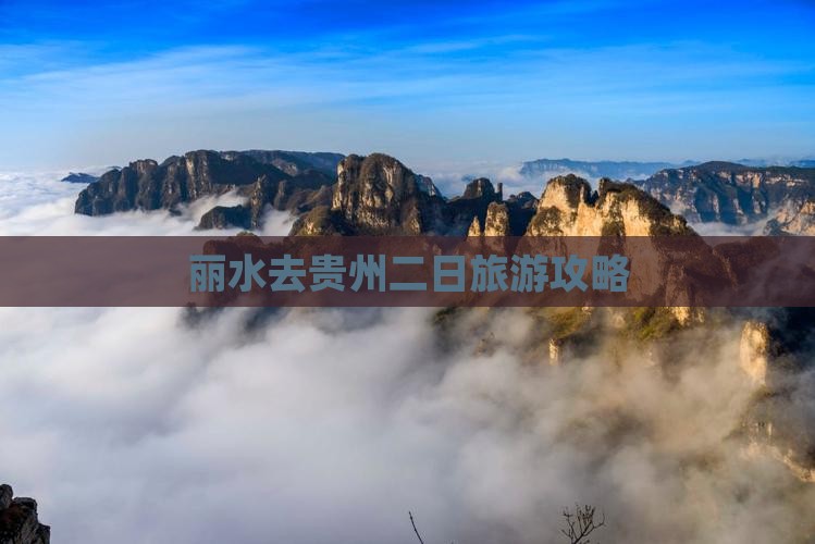 丽水去贵州二日游