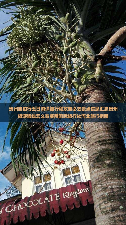 贵州自由行五日游详细行程攻略必去景点信息汇总贵州旅游路线怎么看费用国际旅行社河北旅行指南