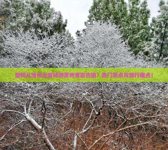 如何从池州出发畅游贵州青岩古镇？热门景点与旅行痛点！
