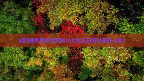 如何规划萍乡至贵州小七孔五日游以避开人潮？
