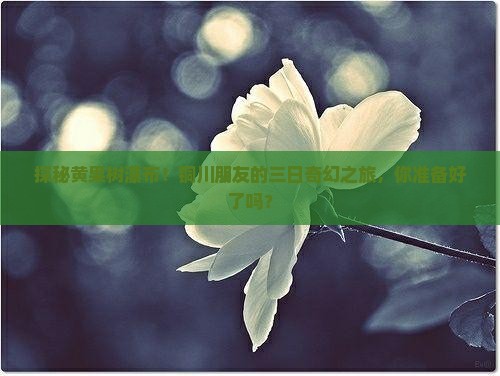 探秘黄果树瀑布！铜川朋友的三日奇幻之旅，你准备好了吗？