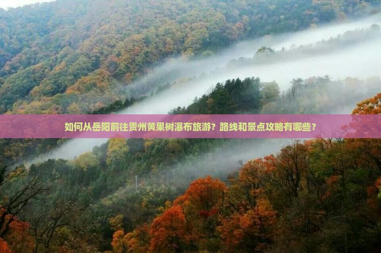 如何从岳阳前往贵州黄果树瀑布旅游？路线和景点攻略有哪些？