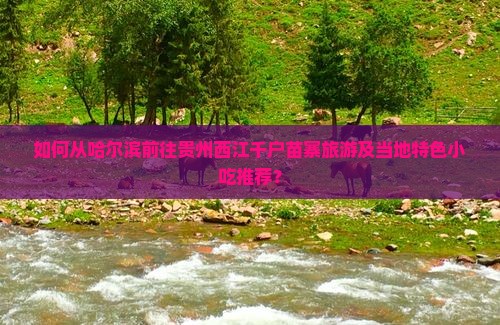 如何从哈尔滨前往贵州西江千户苗寨旅游及当地特色小吃推荐？