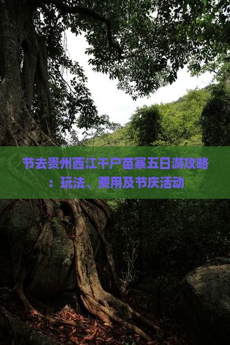节去贵州西江千户苗寨五日游攻略：玩法、费用及节庆活动