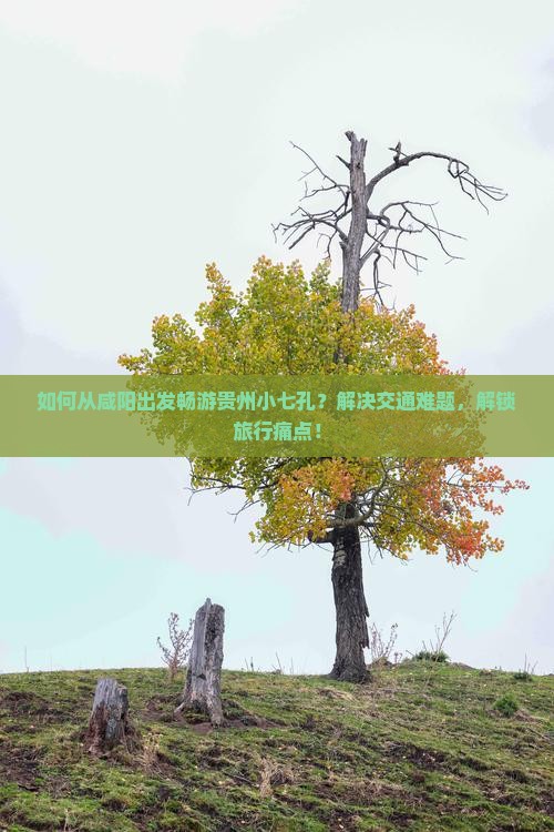 如何从咸阳出发畅游贵州小七孔？解决交通难题，解锁旅行痛点！