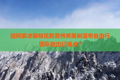 如何解决攀枝花到贵州黄果树瀑布自由行团队的出行痛点？