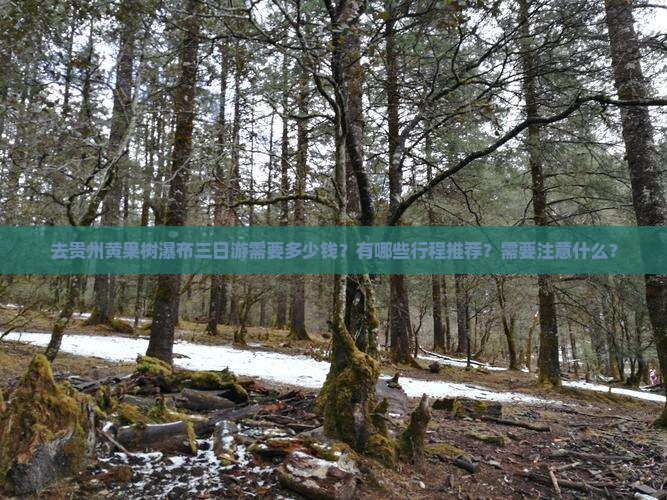 去贵州黄果树瀑布三日游需要多少钱？有哪些行程推荐？需要注意什么？