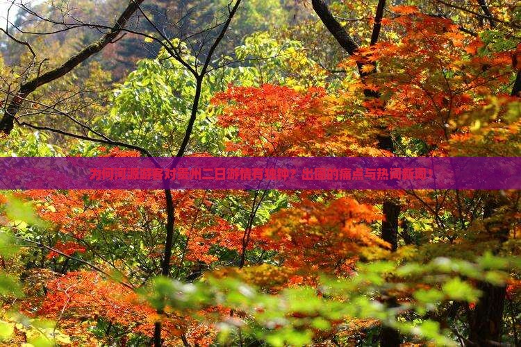 为何河源游客对贵州二日游情有独钟？出圈的痛点与热词新词！
