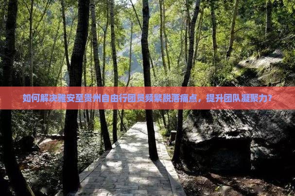 如何解决雅安至贵州自由行团员频繁脱落痛点，提升团队凝聚力？