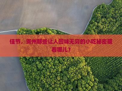 佳节，贵州那些让人回味无穷的小吃秘密藏着哪儿？