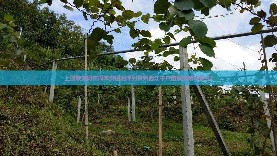 上班族如何在周末游遍湘潭到贵州西江千户苗寨的精华景点？