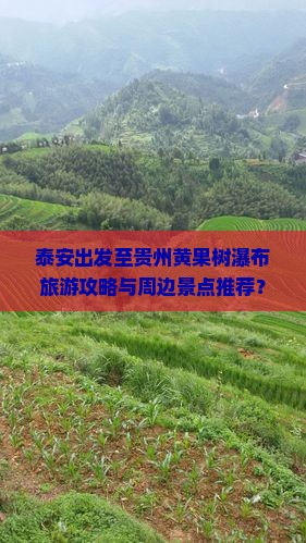 泰安出发至贵州黄果树瀑布旅游攻略与周边景点推荐？