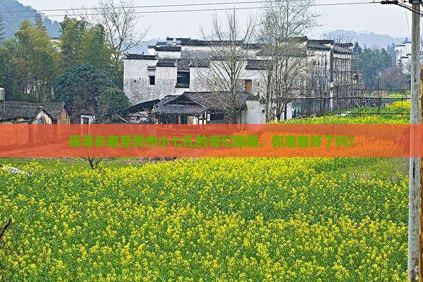 探寻长春至贵州小七孔的奇幻旅程，你准备好了吗？