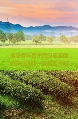 洛阳青年贵州贵阳旅游团旅行社攻略：探索贵州旅游魅力之旅