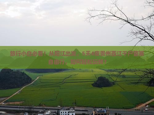 旅行小白必看！从阳江出发，5天4夜贵州西江千户苗寨自由行，如何轻松玩转？