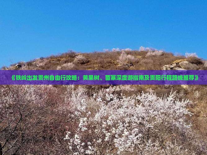 《铁岭出发贵州自由行攻略：黄果树、苗寨深度游指南及贵阳行程路线推荐》
