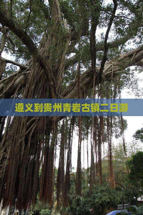 遵义到贵州青岩古镇二日游