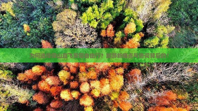 为何选择保山直飞贵阳自由行？旅游新痛点与热词背后的！