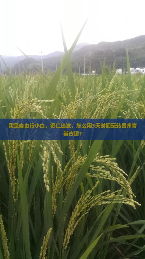 我是自由行小白，铜仁出发，怎么用3天时间玩转贵州青岩古镇？