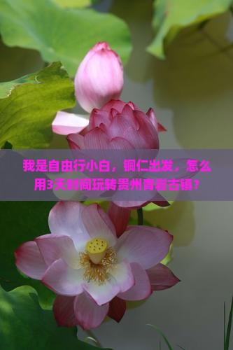 我是自由行小白，铜仁出发，怎么用3天时间玩转贵州青岩古镇？