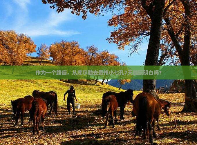 作为一个路痴，从库尔勒去贵州小七孔7天能玩明白吗？